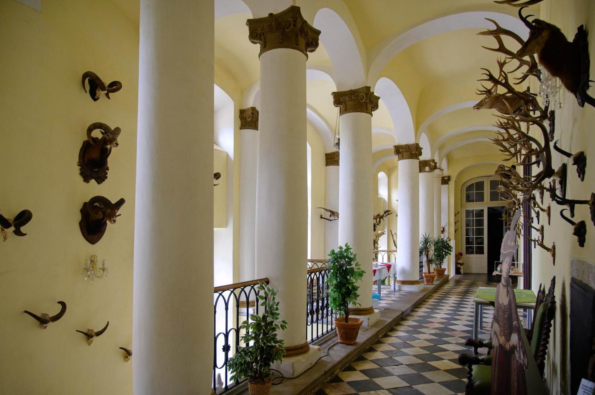 Zamek Usobi Apartment Luaran gambar